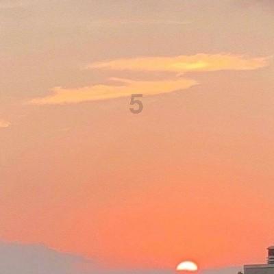 深入探索石竹什么农药不能用了?-知识星球平台